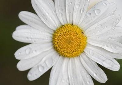 表示努力学习的词语(合集40句)