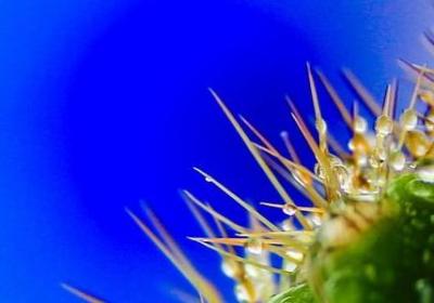 表示说的动作词语(热门59句)