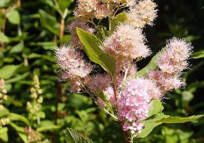 表示生气的词语(优选60句)