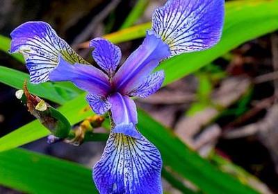 衣服的卖点词语(必备60句)