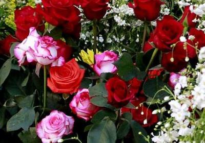 表示喜悦的词语(实用60句)