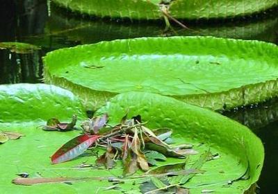 表示看的词语四字词语(必备40句)