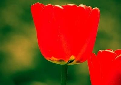 表示黑暗的词语(40句)