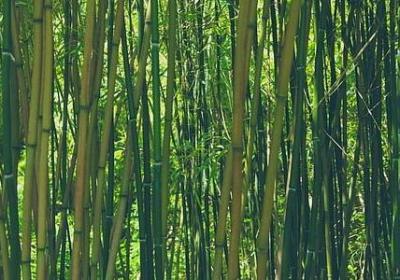 表示运气好的词语(实用111句) 表示运气好的词语(实用111句)