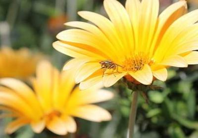 赞美产品质量好的词语(实用11句)