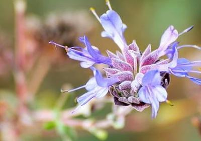 赞柔力球的词语(优选51句)