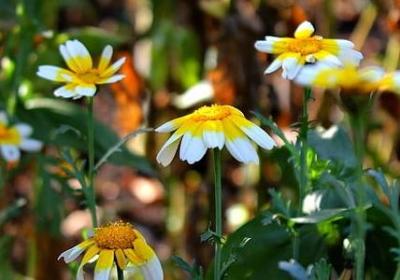 赞美字写的好的词语(共10句)