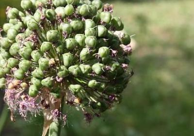 说组词四字词语(合集70句)