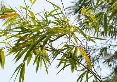 讽刺现代社会的词语(热门20句)