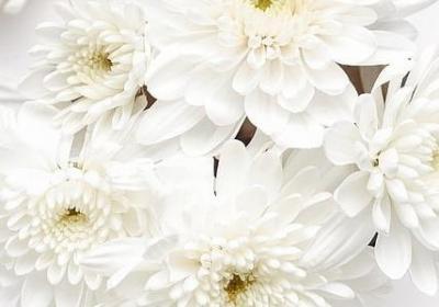 曼德拉的名言(精选38句)