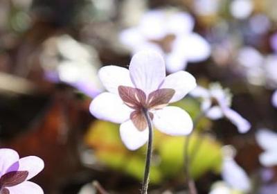 有关道德的名言警句(通用60句)