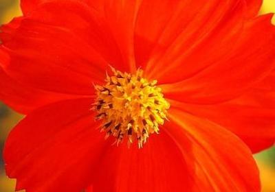 阳光向上的词语(60句)