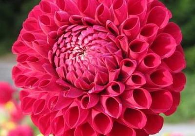 适合摘抄的词语(推荐26句)