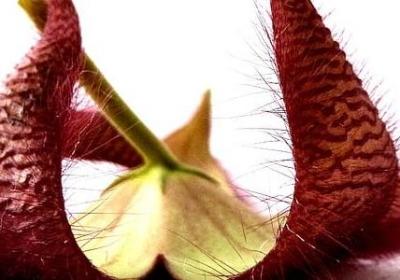 有关挫折的名人名言(精选20句)