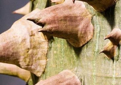 金字组词有哪些词语(合集40句)