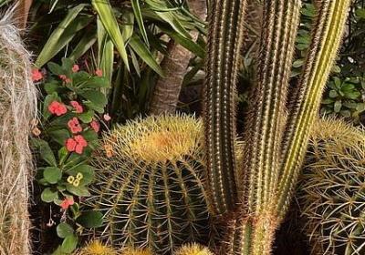 爱国励志名言(合集80句)