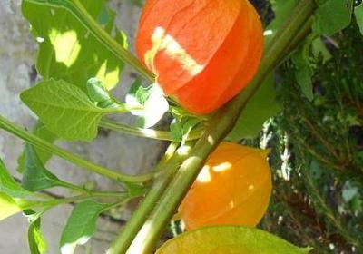 爱情至理名言(合集70句)