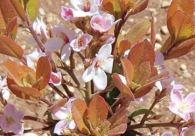 爱国的名言有哪些(热门80句)