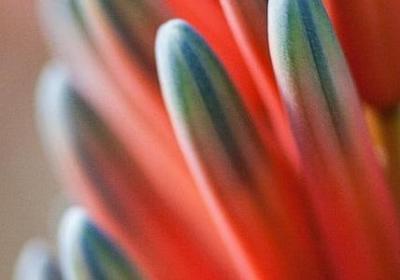 消除烦恼的名言(优选80句)