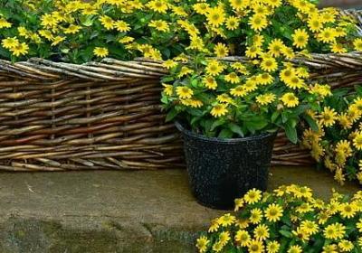 武则天的名言(100句)