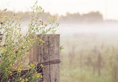 有关静的名言(热门50句) 有关静的名言(热门50句)