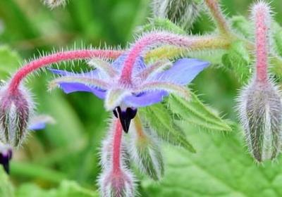 爱我中华名言(精选30句)