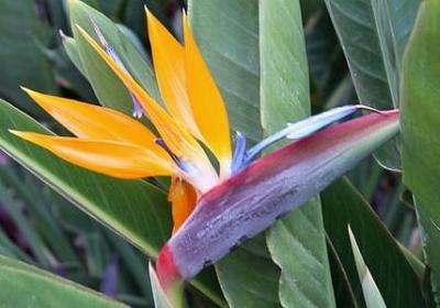 短名言警句摘抄大全(优选59句)