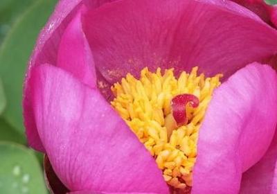 有关阳光的名言(推荐98句)