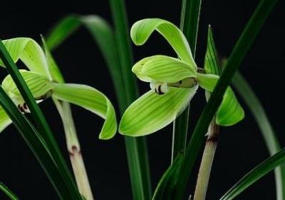 正视自己的名言(汇总70句) 正视自己的名言(汇总70句)