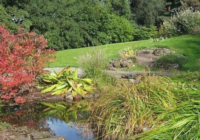 生命的名人名言(实用98句)