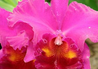 珍惜名人名言(推荐11句)