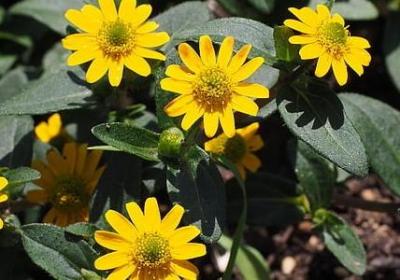 激励学习的名言(热门60句)