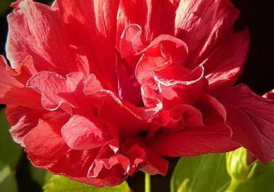 有趣的名人名言(推荐79句)