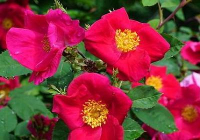 有哪些关于读书的名言(实用46句)