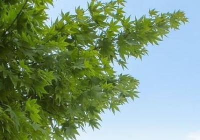 环境对人的影响的名言(优选50句)