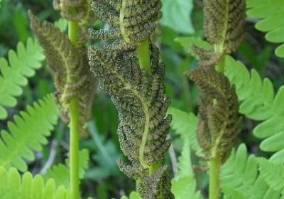 爱情经典名言(50句)