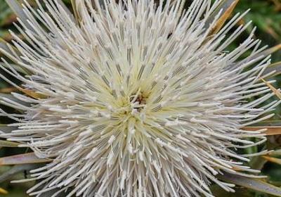 时间长日子久的词语(实用10句)