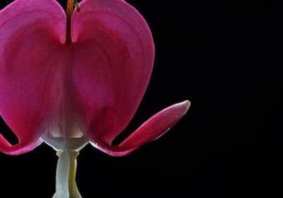 描写阳光的词语有哪些(推荐41句) 描写阳光的词语有哪些(推荐41句)