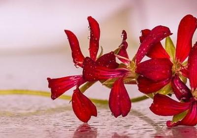 描写英雄的四字词语(热门40句) 描写英雄的四字词语(热门40句)