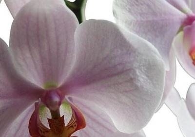 描写眼睛的优美词语(共50句) 描写眼睛的优美词语(共50句)