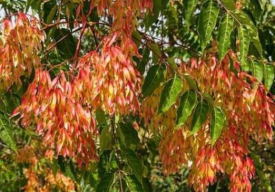 比较有情怀的词语(精选50句)