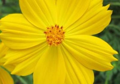 有关说的词语(实用61句)