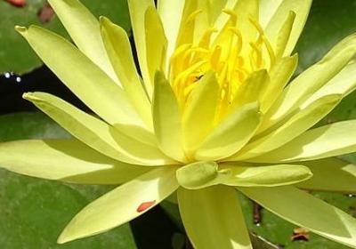 有海的四字词语(热门60句)