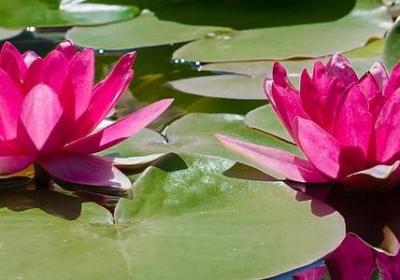 普通话容易错的词语(合集60句)