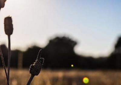 滑组词语有哪些(共41句)