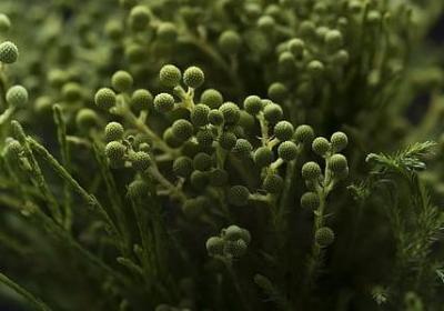 热情搭配的词语(共70句)