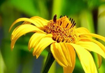 火的词语接龙(推荐72句)