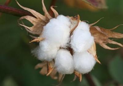 秋天的色彩的词语(合集70句)