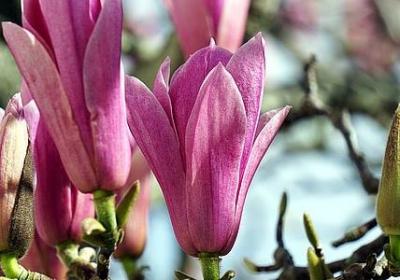 看透人心的词语(通用40句)