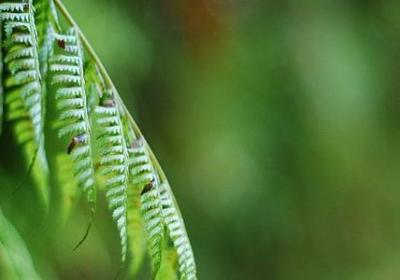 突然想起的词语(热门70句)